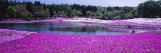 Violeta Sonia García banner