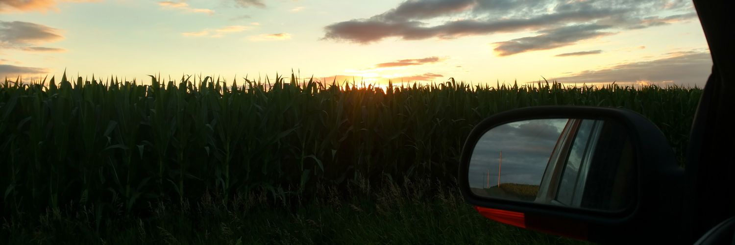 austin brandes banner