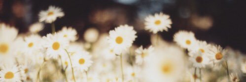 everydayna_'s profile banner image