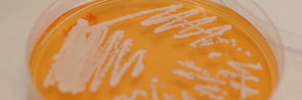 OpenCellLondon Profile Banner