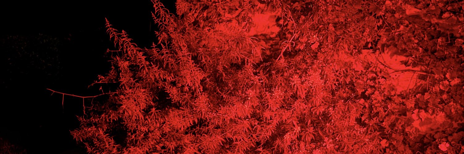 𝐁𝐥𝐞𝐧𝐝 𝐀𝐟𝐟𝐞𝐜𝐭 banner