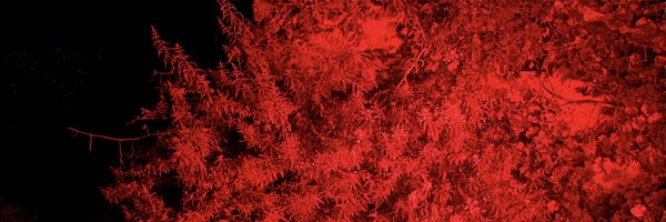 BlendAffect Profile Banner