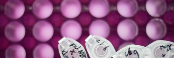 BasReichert Profile Banner