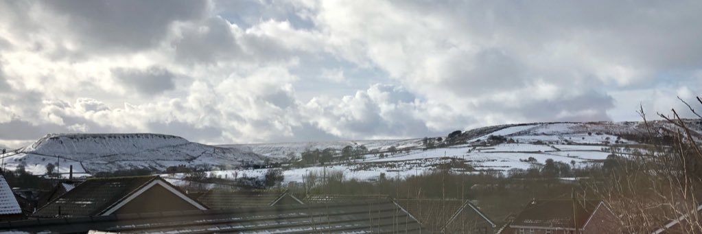 shannon spencer banner