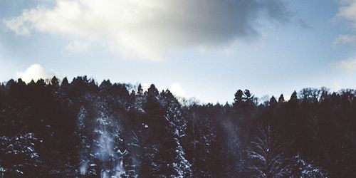 littlesoff's profile banner image