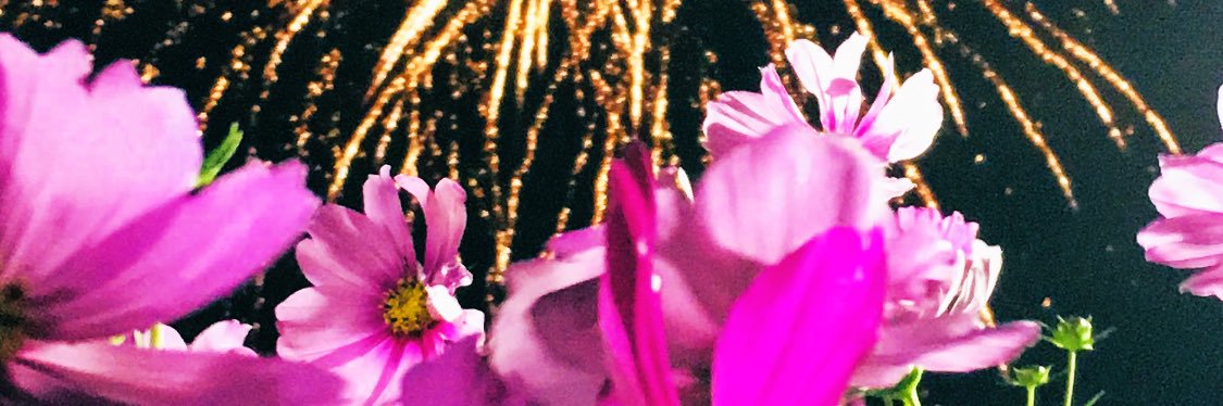 hasumin | Nstock banner