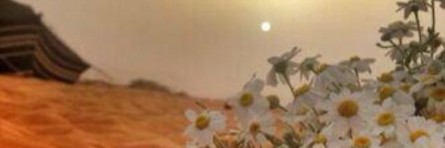 fin5070's profile banner image