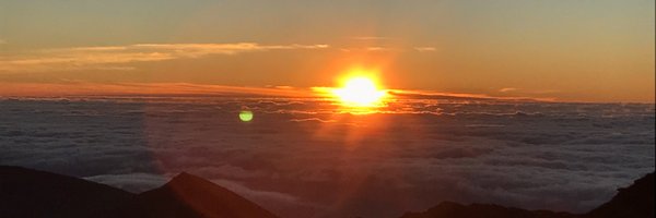 JuneWRhee Profile Banner