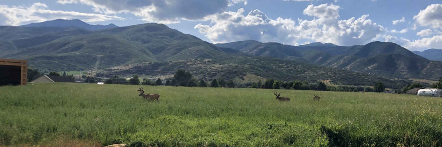 Barstool Utah banner