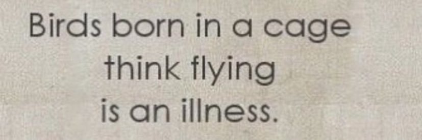 Lisa Mars banner