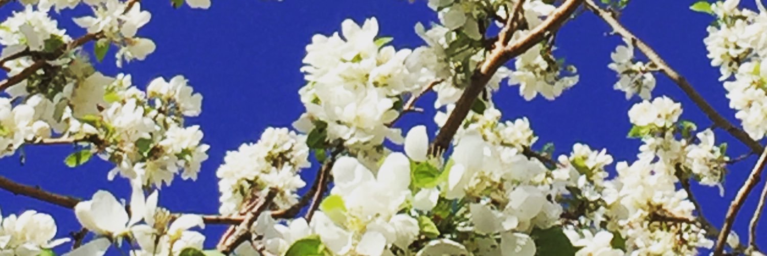 BeckJessa's profile banner image