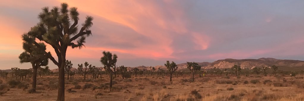 rachellynell's profile banner image