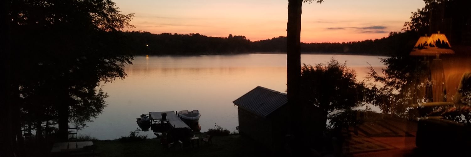 Michelle Light banner