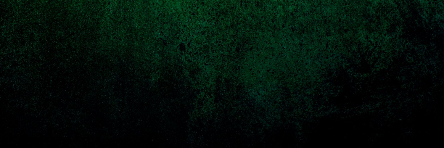 SPYDIR's banner