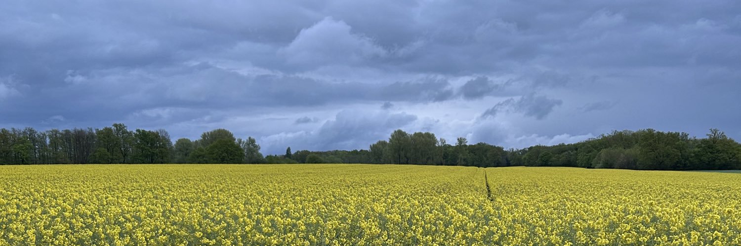 ScheissFaelle's profile banner image