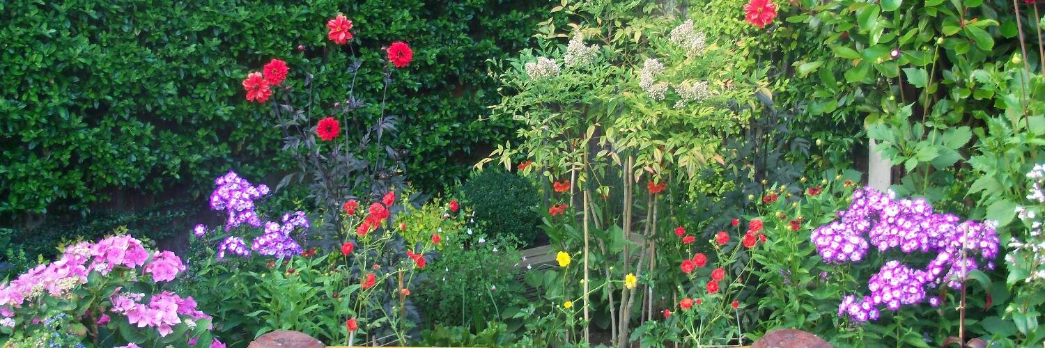 ClaireP68's profile banner image