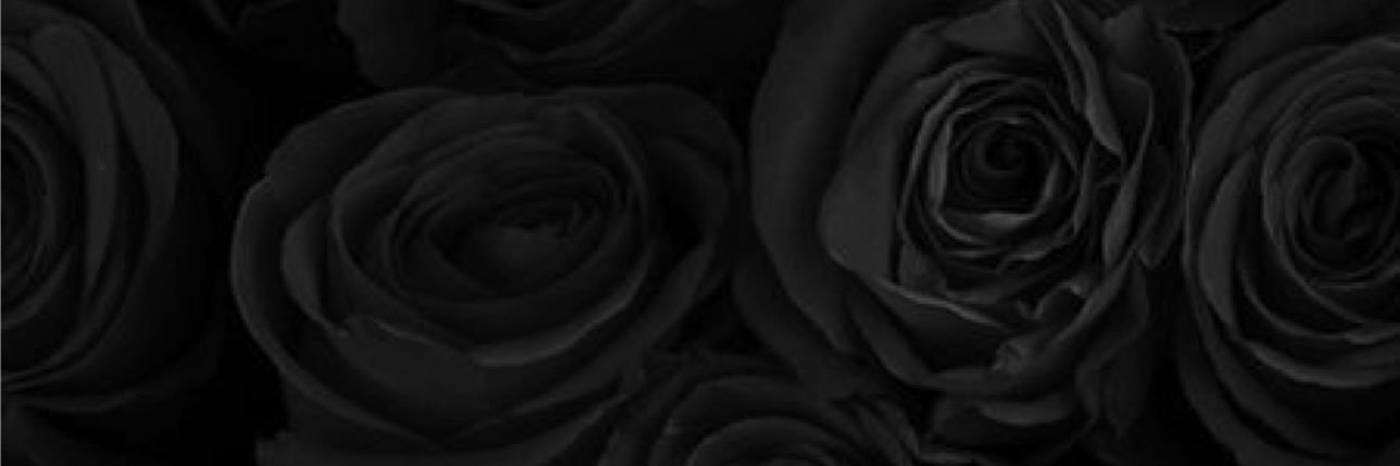 ayeyojell's profile banner image