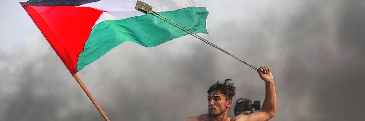 🕊️🇵🇸 banner