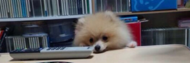 mmmmm418's profile banner image