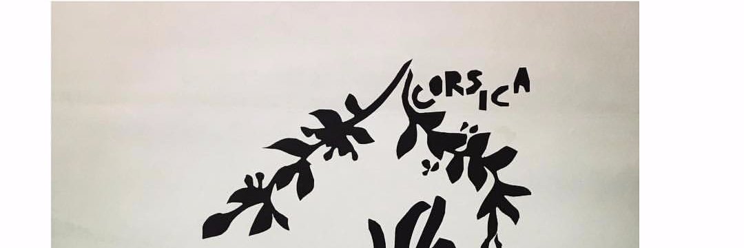 Christine Colonna banner