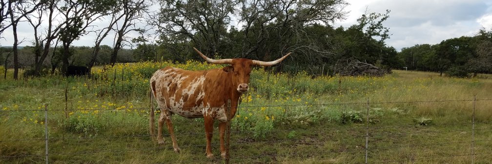 UTCNS Grad Education banner