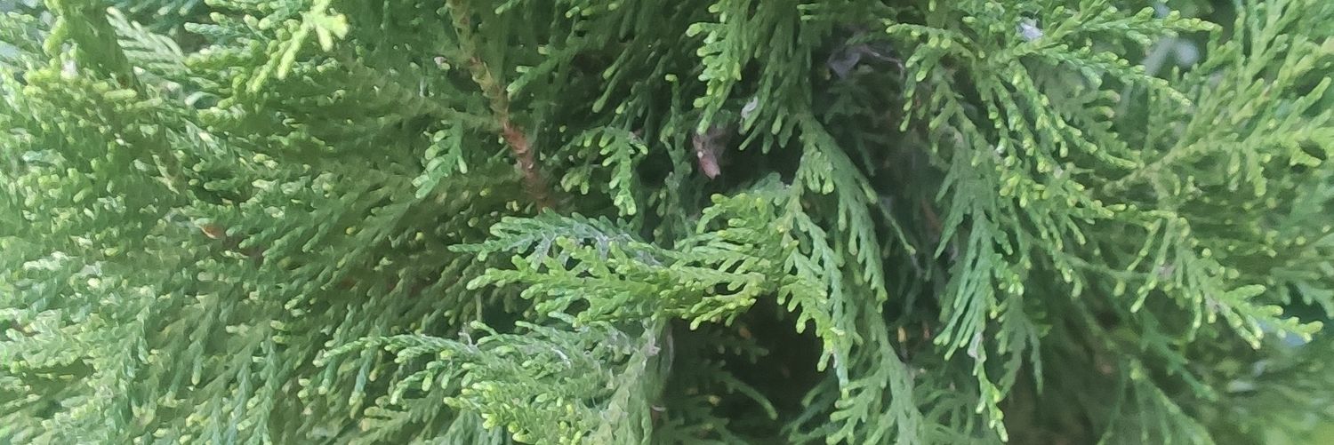 KenKennth's profile banner image