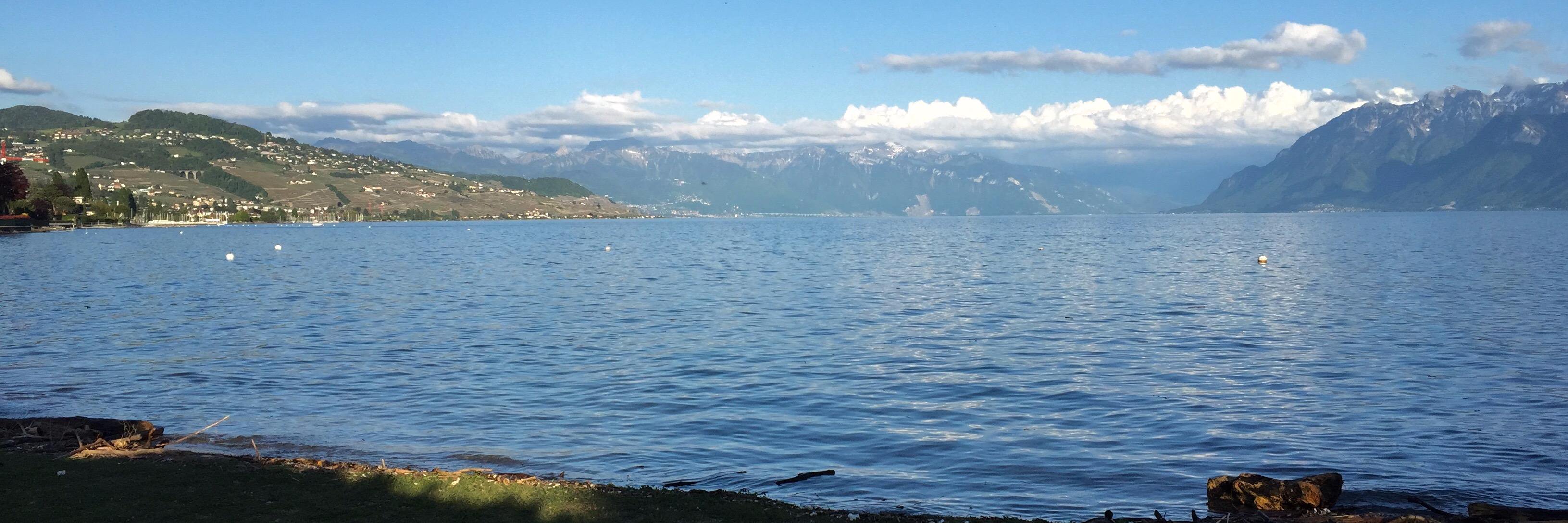 Must_Love_Adam 🌻 banner