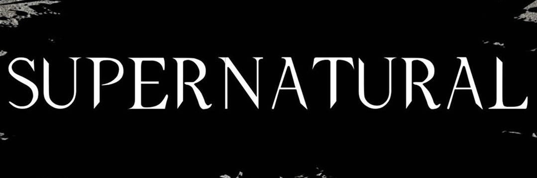 lizzy_branham's profile banner image