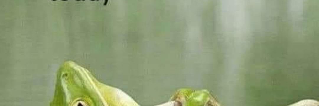 Pepper81838135's profile banner image
