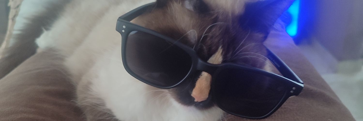 KrKessia's profile banner image