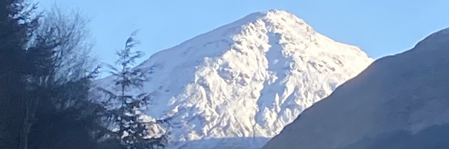 murray_daisy's profile banner image