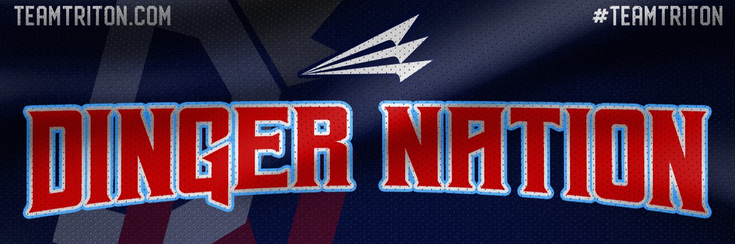Dinger Nation banner