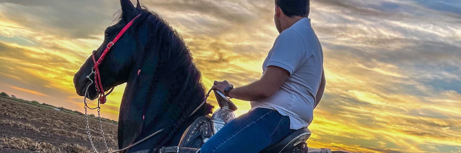 luissillass's profile banner image