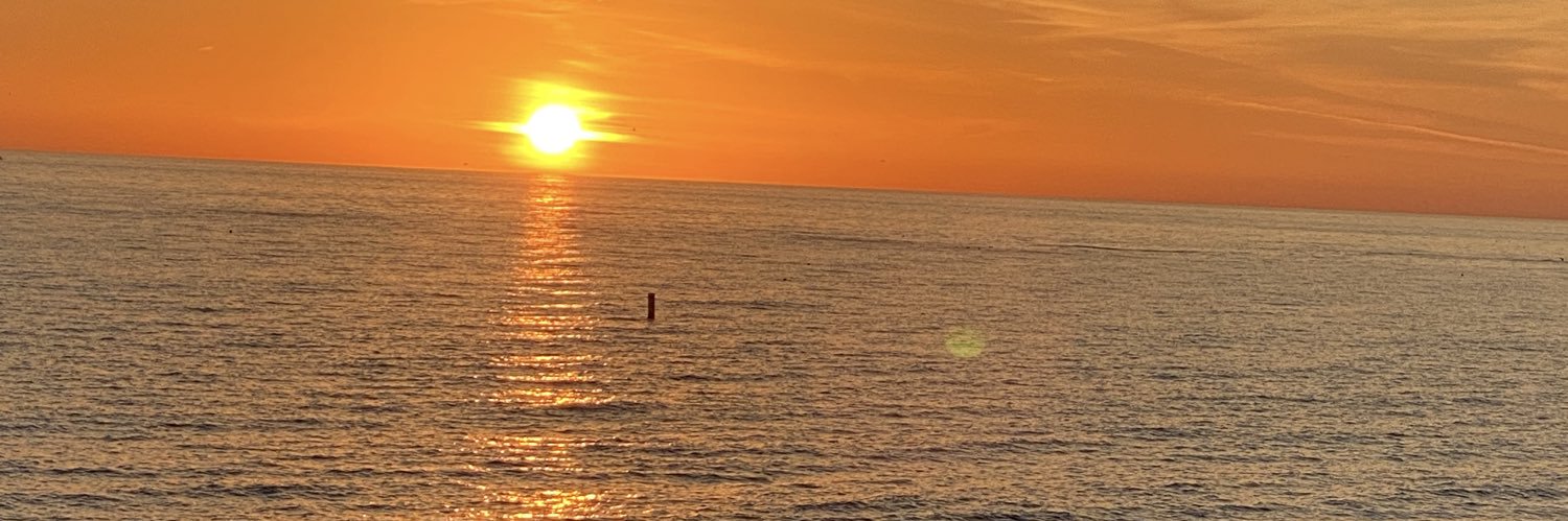 NANZSCH's profile banner image