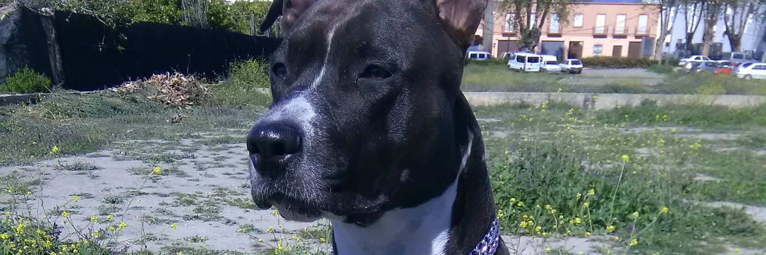 _judith56's profile banner image
