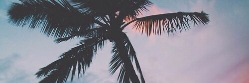 xJayyyy's profile banner image