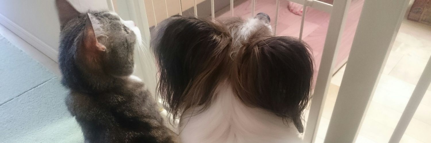 Leobby6's profile banner image