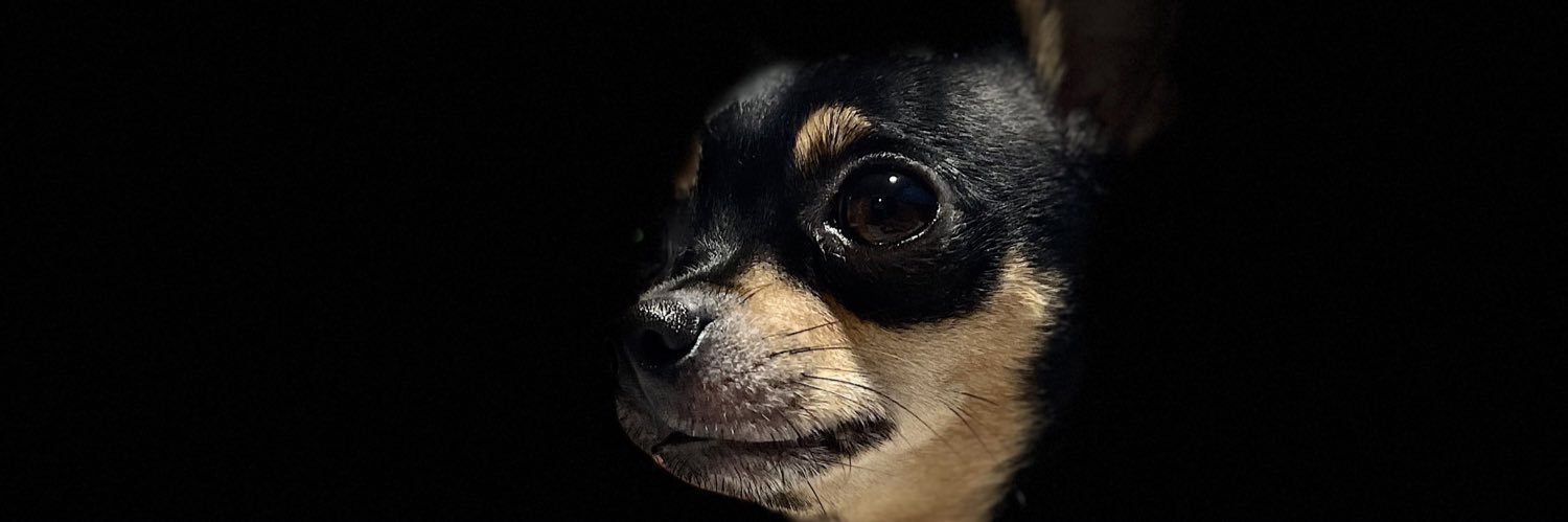 mejb97's profile banner image