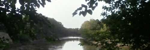 Mónica García banner