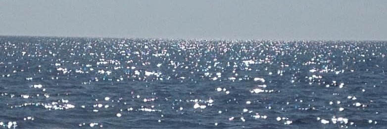 Benjamin Moore banner