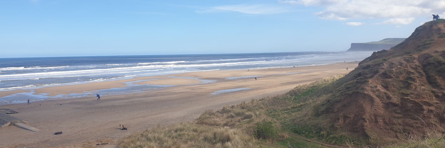 Annette Oliver banner