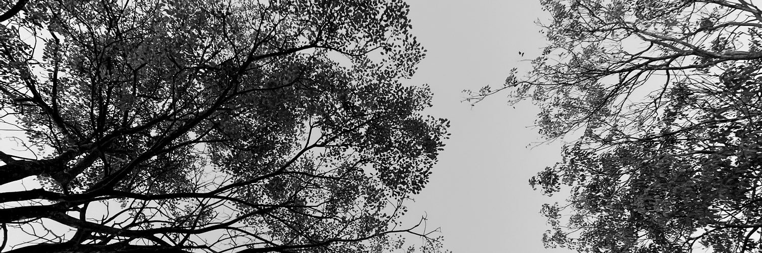 EmiFunes_'s profile banner image