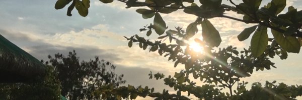 elcdcrz Profile Banner