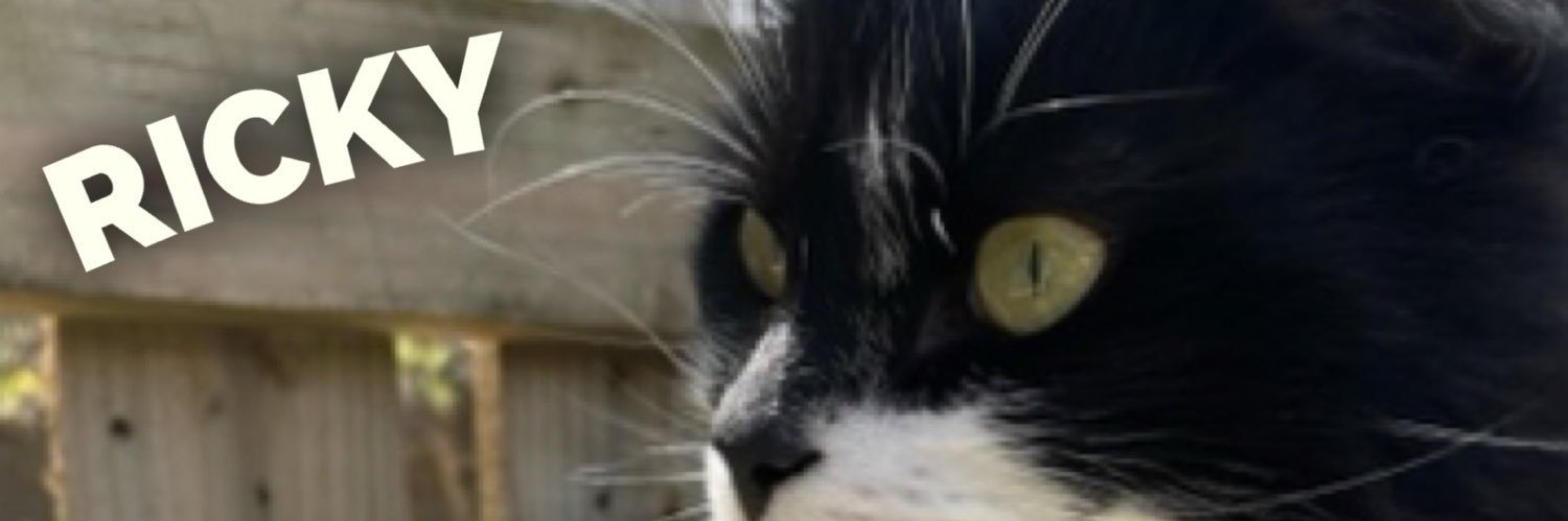 Ricky the kitty banner