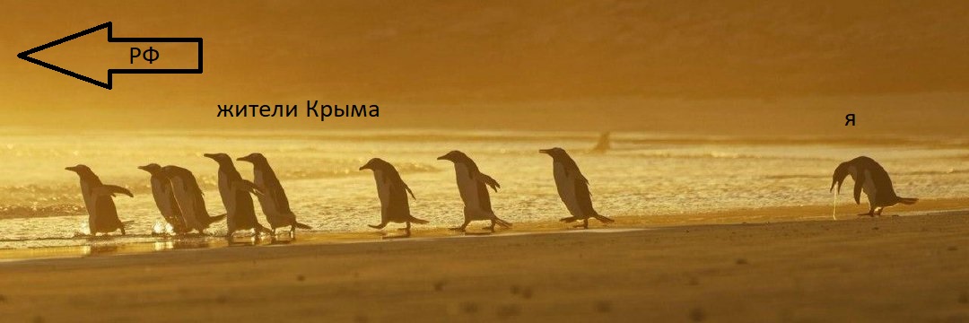 crimea_john's profile banner image