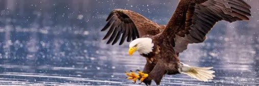 SH : Khan 🦅 banner