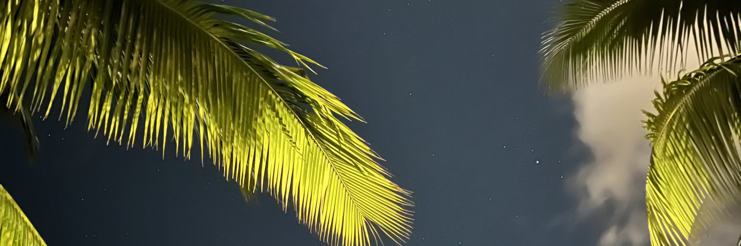 NiroKalash's profile banner image