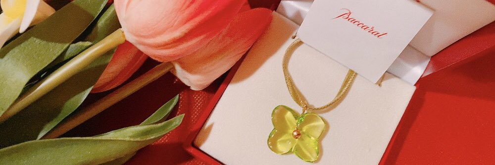 🌷🎶baccara🎶🌷's banner