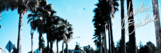 kidrauhlsrecord's profile banner image