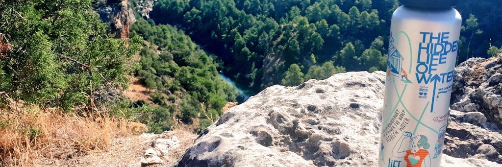 Veronique Frey banner